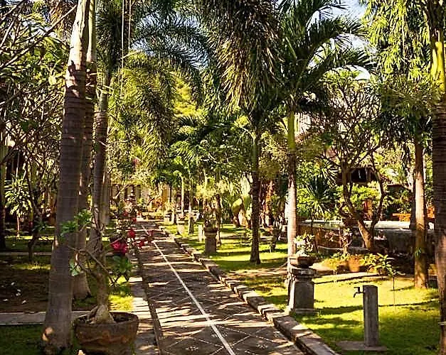 Oasis 3* Amed