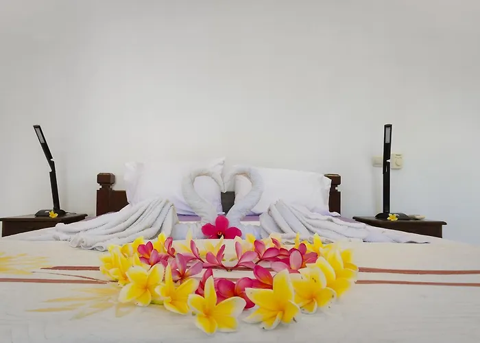 Oasis 3* Amed