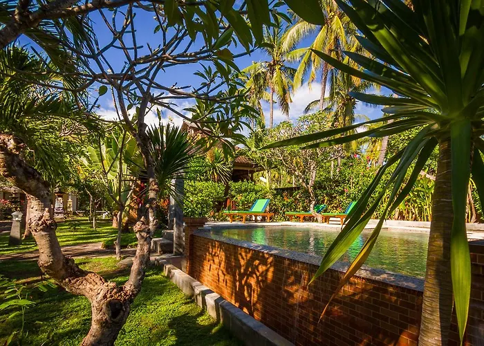 Oasis 3* Amed