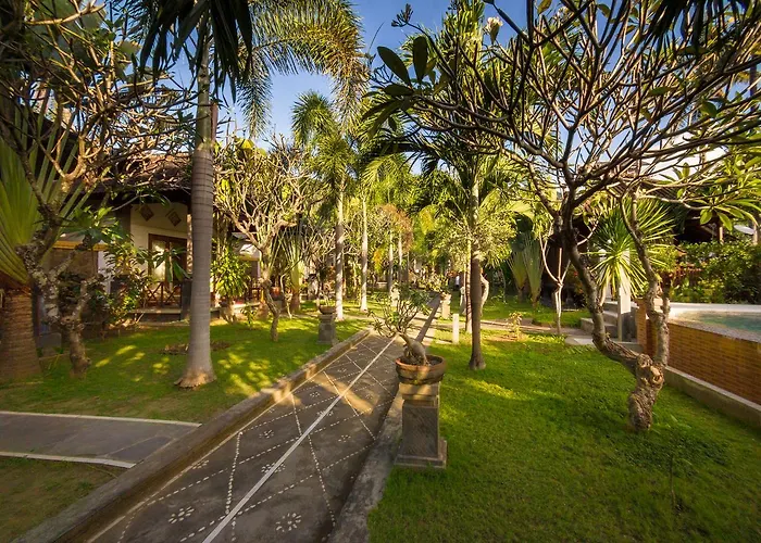 Oasis 3* Amed